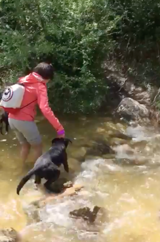 cruzando rios 7 gorgs