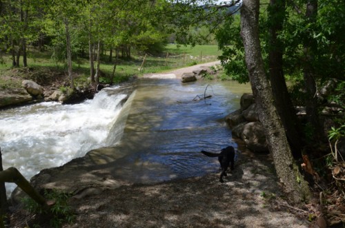 rio para cruzar 7 gorgs